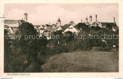 Dillingen Donau Panorama