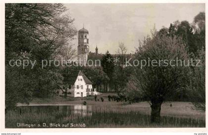 Dillingen Donau Schloss