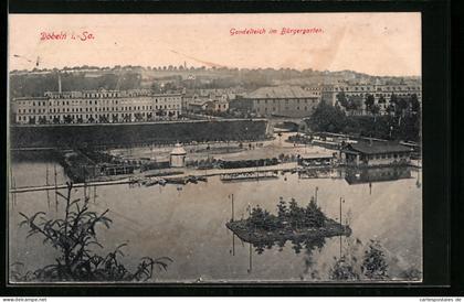 AK Döbeln i. Sa., Gondelteich im Bürgergarten