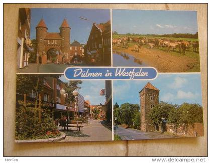 Deutschland - Dülmen in Westfalen -horses  D112737