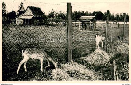 Karthaus Duelmen Anna Katharinenstift Tiergehege