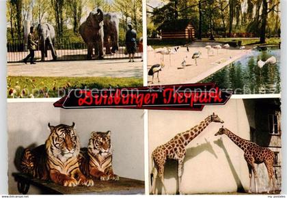 Duisburg  Ruhr Tierpark Duisburg Flamingos Elefanten Giraffen Tiger