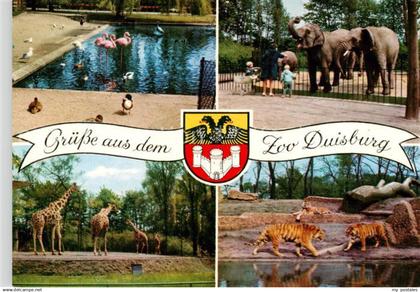 Duisburg  Ruhr Zoo Duisburg Flamingos Elefanten Giraffen Tiger