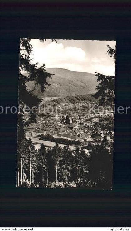 Eberbach Neckar Blick auf Eberbach