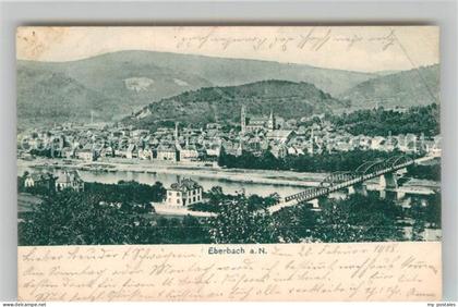 Eberbach Neckar Panorama