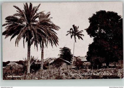 13255179 - Vegitationsbild aus Tabora Tansania Palmen