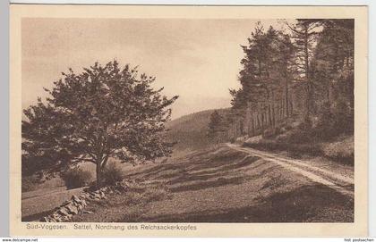 (35221) AK Süd-Vogesen, Sattel, Nordhang d. Reichsackerkopfes