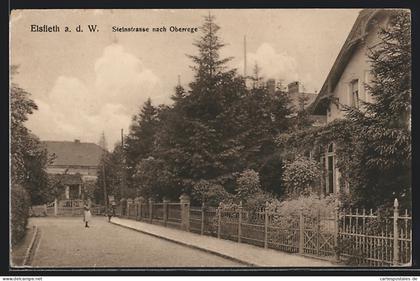 AK Elsfleth a. Weser, Steinstrasse nach Oberrege, mit Villa