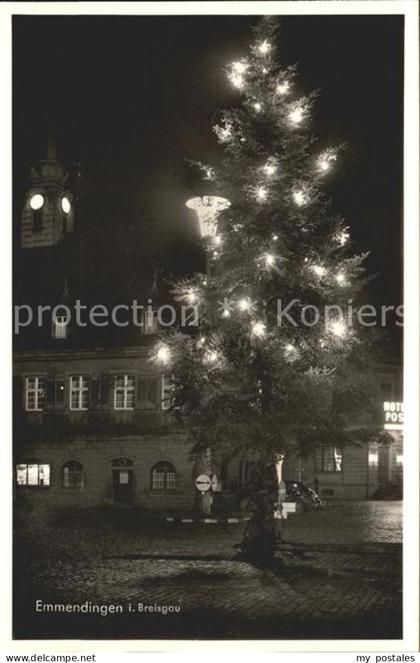 Emmendingen Tannenbaum