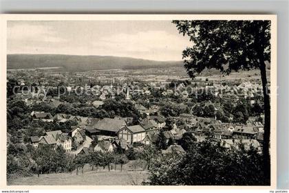 Erbach Odenwald Panorama