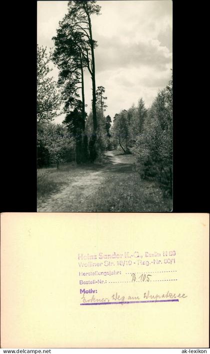 Ansichtskarte Erkner Weg Wupatzsee 1956