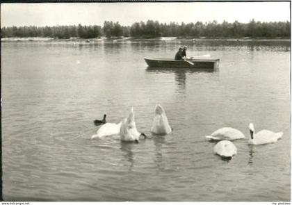 Falkensee See x 1979