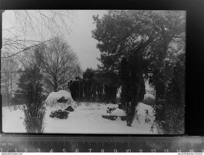 30052277 - Fallingbostel