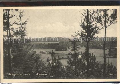 Fallingbostel Boehmetal