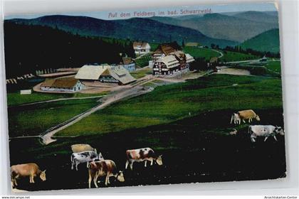 51046674 - Feldberg , Schwarzwald