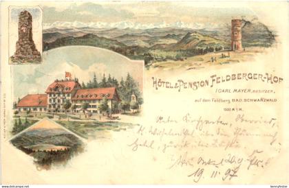 Feldberg im Schwarzwald - Hotel Feldberg Hof - Litho