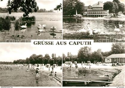 Caputh Schwaene Badestrand Gaststaette