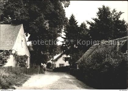 Ferch Dorfstrasse