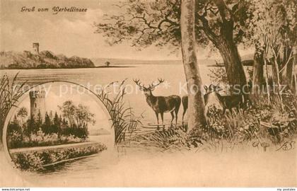 Werbellinsee-Altenhof Seepanorama Burgturm