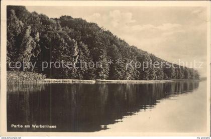 Werbellinsee-Altenhof Seepartie