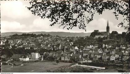 Frankenberg Eder Panorama Kirche