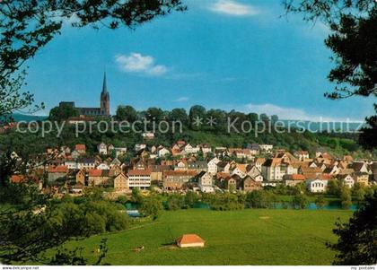 Frankenberg Eder Panorama Kirche