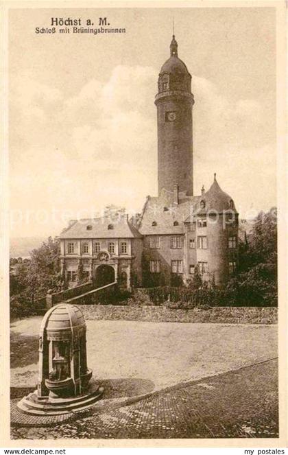 Hoechst Main Schloss Brueningsbrunnen