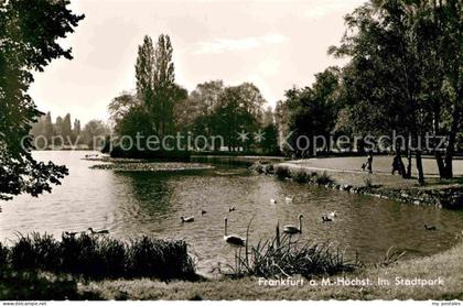 Hoechst Main Stadtpark