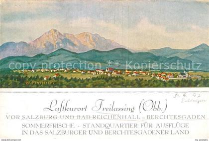 Freilassing Panorama