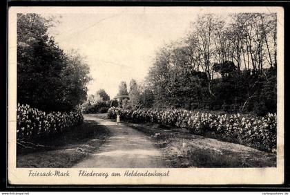AK Friesack /Mark, Fliederweg am Heldendenkmal