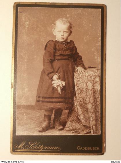 Kabinettfoto - Atelier Schützmann in Gadebusch , Adel , CDV , Photographie , Kabinett !!