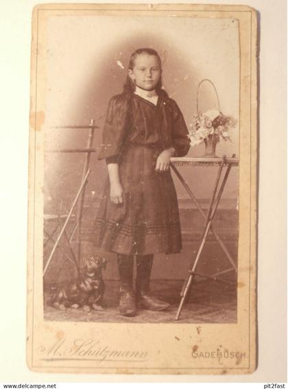 Kabinettfoto - Atelier Schützmann in Gadebusch , Anna Dieckelmann , Adel , CDV , Photographie , Kabinett !!