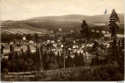 Bad Georgenthal, Gesamtansicht vom Ziegelberg