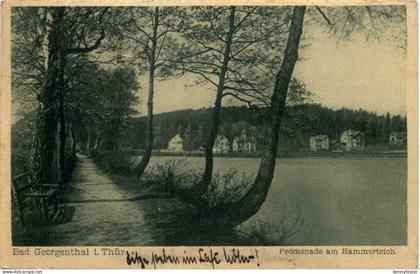 Bad Georgenthal, Promenade am Hammerteich