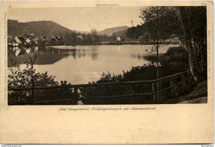 Georgenthal in Thüringen, Frühlingsmorgen am Hammerteich