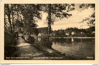 Georgenthal in Thüringen, Promenade am Hammerteich