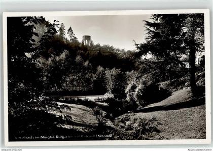 52058916 - Gernsbach