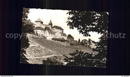 Gernsbach Schloss Eberstein