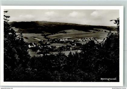 10349817 - Boerninghausen