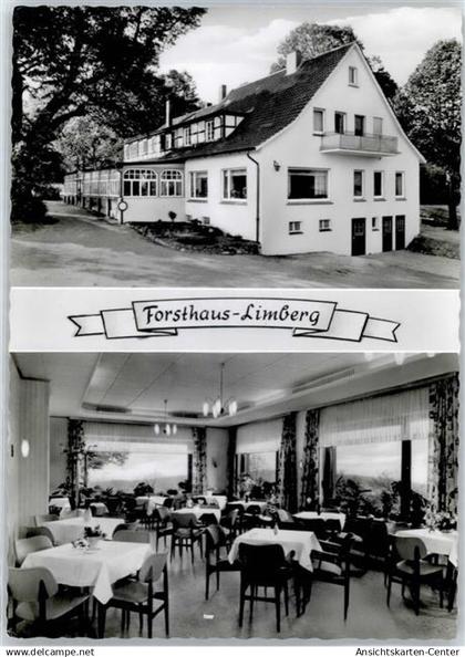 51431826 - Boerninghausen
