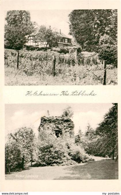 Holzhausen Luebbecke Teilansicht Ruine Limberg