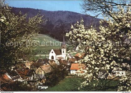 Glottertal Kirche Baumbluete