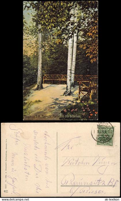 Gößnitz Tannicht, Partie bei den 3 Birken. 1923  gel. Vorinfla 40 M Posthorn