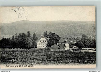 10082894 - Auerhahn , Oberharz