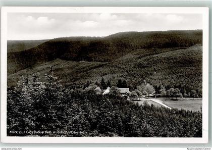 10427031 - Auerhahn , Oberharz