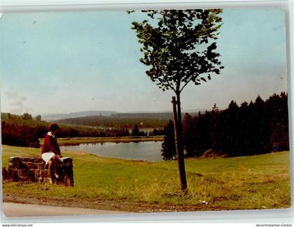 40032062 - Auerhahn , Oberharz