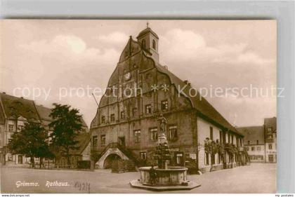 Grimma Rathaus Brunnen
