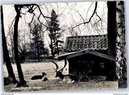 51405367 - Gronau (Westf.)