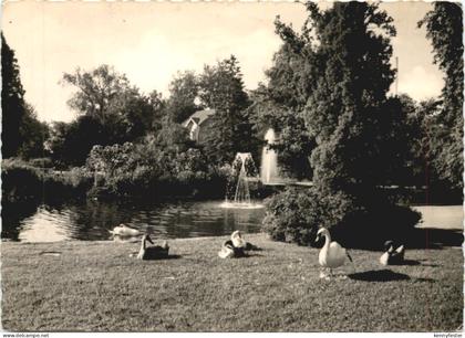 Rüsselsheim - Stadtpark