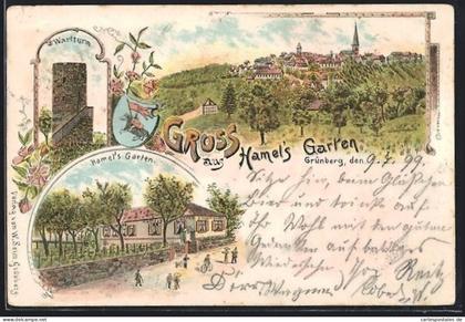 Lithographie Grünberg / Hessen, Gasthof Hamel`s Garten, Wartturm, Ortsansicht mit Kirche